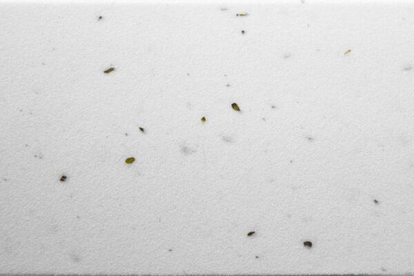 CUBE Lenkerband Cork white